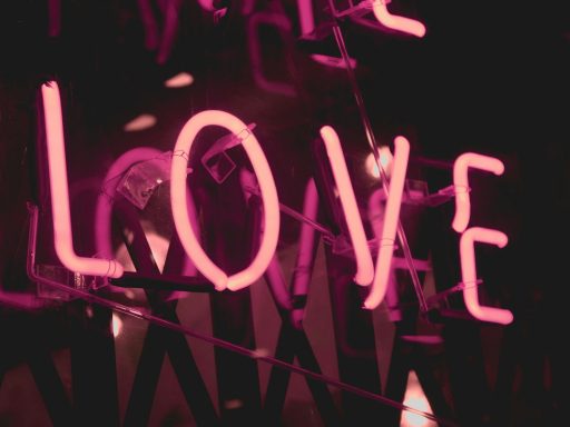 pink Love neon signage