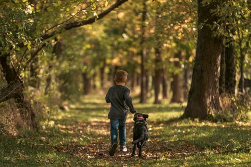 Trail runner op een modderig bospad in de herfst met natte wortels en bladeren op de grond