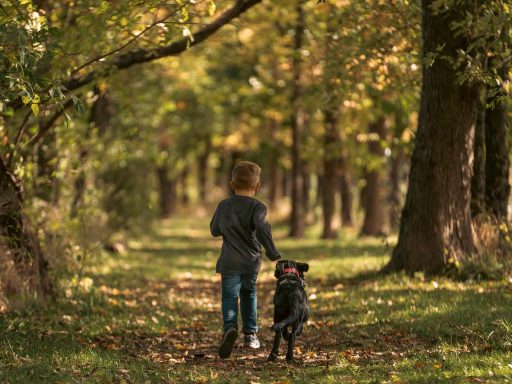 Trail runner op een modderig bospad in de herfst met natte wortels en bladeren op de grond