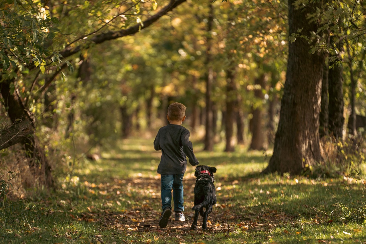 Trail runner op een modderig bospad in de herfst met natte wortels en bladeren op de grond